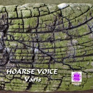 ดาวน์โหลดและฟังเพลง Hoarse Voice พร้อมเนื้อเพลงจาก Varis