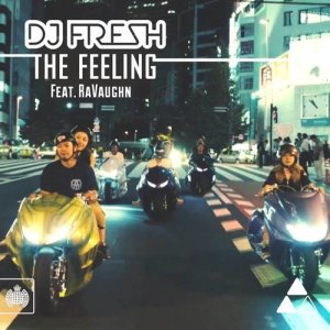 อัลบัม The Feeling (Remixes) ศิลปิน Ravaughn