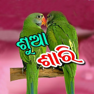 Listen to Sua Sari song with lyrics from Chandra Dharua