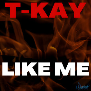 Album Like Me from T-Kay