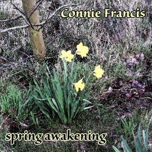 Connie Francis的专辑Spring Awakening