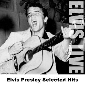 ดาวน์โหลดและฟังเพลง Hound Dog - Live พร้อมเนื้อเพลงจาก Elvis Presley