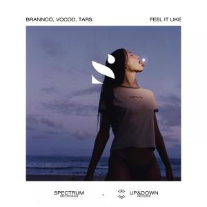 Listen to Feel It Like song with lyrics from Brannco