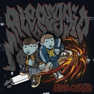 ดาวน์โหลดและฟังเพลง Male o Peggio (Explicit) พร้อมเนื้อเพลงจาก Roma Guasta