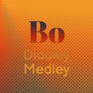Listen to Bo Diddley Medley song with lyrics from LADY BO