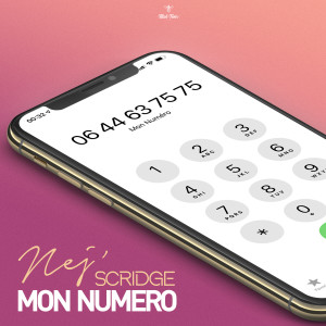 Dengarkan lagu Mon numéro nyanyian Nej dengan lirik