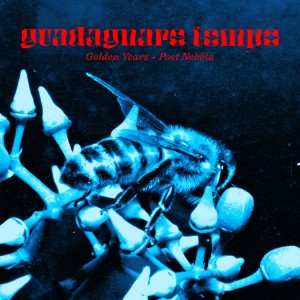 อัลบัม Guadagnare Tempo ศิลปิน Golden Years