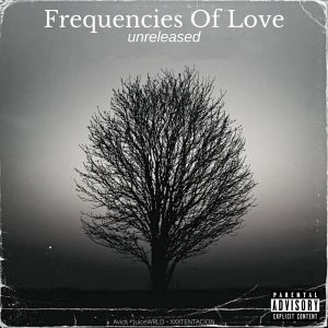 Naresh Narayan的专辑Frequencies of Love (Explicit)