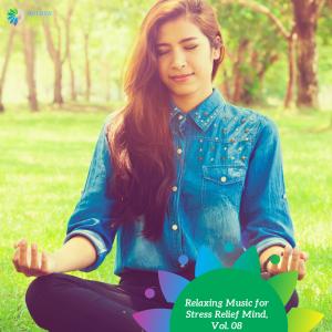 ดาวน์โหลดและฟังเพลง Glorious Chimes พร้อมเนื้อเพลงจาก Prime Tee