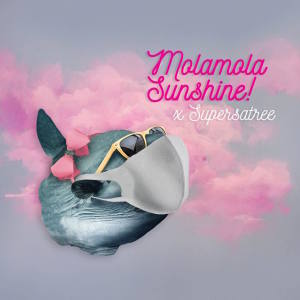 Album ถ้าโดนโคขวิด แล้วเธอจะทำไง? from Mola mola Sunshine! X Hers