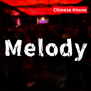 Album Melody (Chinese House) from DJ多多