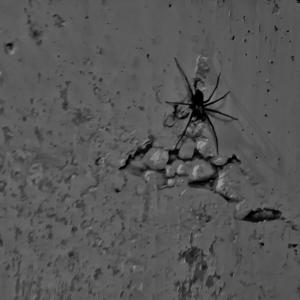 ดาวน์โหลดและฟังเพลง Decaying Mind (Explicit) พร้อมเนื้อเพลงจาก witheringbloomdeadsun