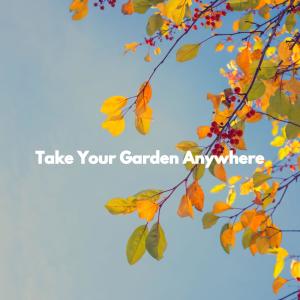 Album Take Your Garden Anywhere from Bossa Lounge Deluxe