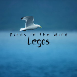 Listen to Birds In The Wind (Radio Mix) song with lyrics from Legos
