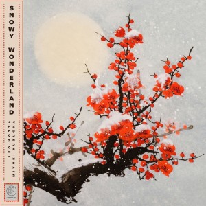 Listen to Snowy Wonderland song with lyrics from Léo Motta