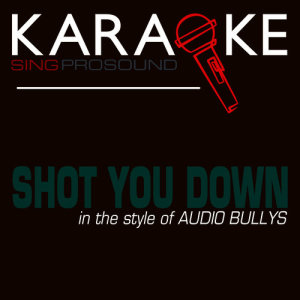 收聽ProSound Karaoke Band的Shot You Down (In the Style of Audio Bullys) [Karaoke Version] (伴奏)歌詞歌曲
