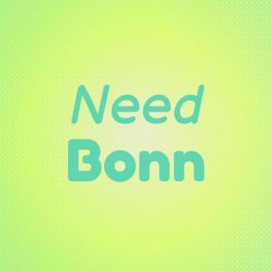 Listen to Need Bonn song with lyrics from Chente Gorm