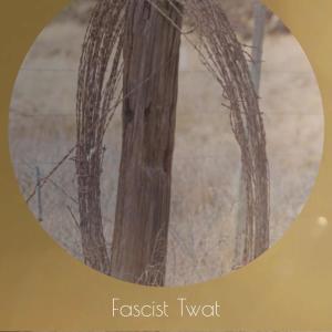 Listen to Fascist Twat song with lyrics from Tedo Blin