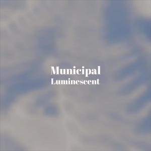 Album Municipal Luminescent from Various