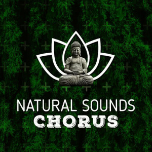 ดาวน์โหลดและฟังเพลง Afternoon Stroll พร้อมเนื้อเพลงจาก Natural Sounds