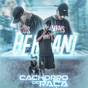 Listen to Cachorro de Raça (Explicit) song with lyrics from Hernani