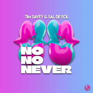 Dengarkan No No Never lagu dari Tim Savey dengan lirik