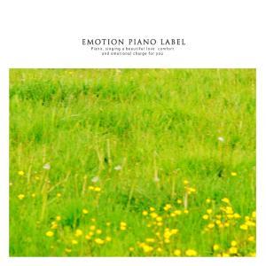 Album Comfortable sleeping piano collection to cope with insomnia (sleeping therapy) from Various Artists