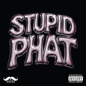 ดาวน์โหลดและฟังเพลง STUPID PHAT (Explicit) พร้อมเนื้อเพลงจาก Tess