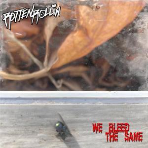 Rotten Rollin的專輯We Bleed the same