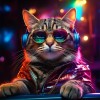default album img