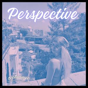 Technique的專輯Perspective