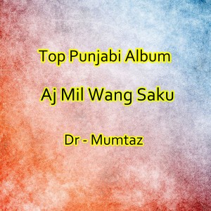 ดาวน์โหลดและฟังเพลง Dilbar พร้อมเนื้อเพลงจาก Dr. Mumtaz