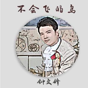 Listen to 不会飞的鸟 (伴奏) song with lyrics from 钟文锋