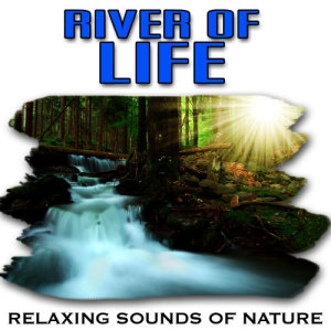 收聽Relaxing Sounds of Nature的Powerful River Song for Meditation歌詞歌曲