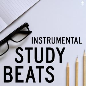 收听Enlia的After The Rain (Instrumental)歌词歌曲