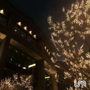 Dengarkan lagu The Hills X I Was Never There (Sped Up|Explicit) nyanyian DJ Tec dengan lirik