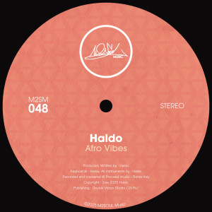 ดาวน์โหลดและฟังเพลง Afro Vibes พร้อมเนื้อเพลงจาก Haldo