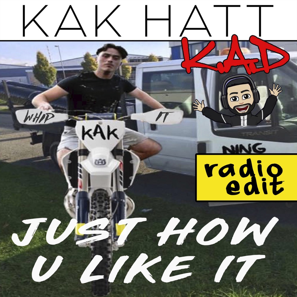 Just How You Like It (Radio Edit)