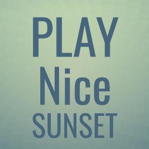 Various Artists的專輯Play Nice Sunset