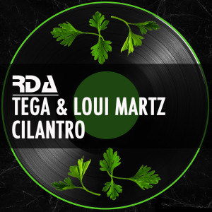 Listen to Cilantro song with lyrics from Tega