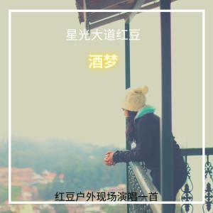 ดาวน์โหลดและฟังเพลง 酒梦 พร้อมเนื้อเพลงจาก 星光大道红豆