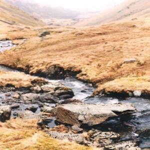 Listen to Healing Gift song with lyrics from Deep Sleep