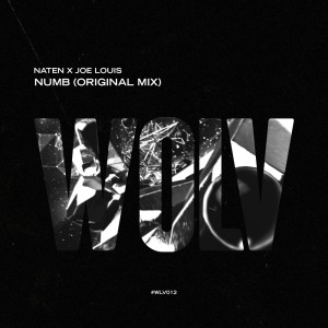 Listen to Numb song with lyrics from Naten