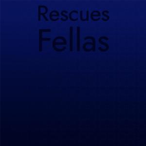 Various Artists的專輯Rescues Fellas