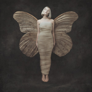 ดาวน์โหลดและฟังเพลง Winter Bird พร้อมเนื้อเพลงจาก AURORA