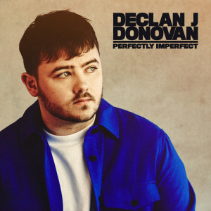 Download Perfectly Imperfect Mp3 By Declan J Donovan Perfectly Imperfect Lyrics Download Song Online