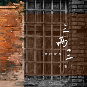 Album 三两三 (烟嗓女版) oleh 大橘子