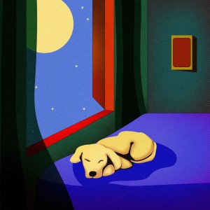 ดาวน์โหลดและฟังเพลง Havana Nights พร้อมเนื้อเพลงจาก Obié_