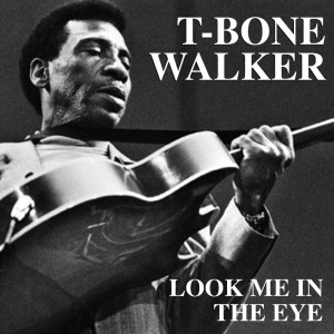 Dengarkan lagu I'm About To Lose My Mind nyanyian T-Bone Walker dengan lirik