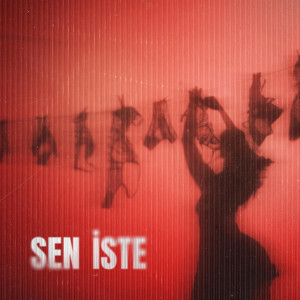 Album Sen İste from Sertab Erener